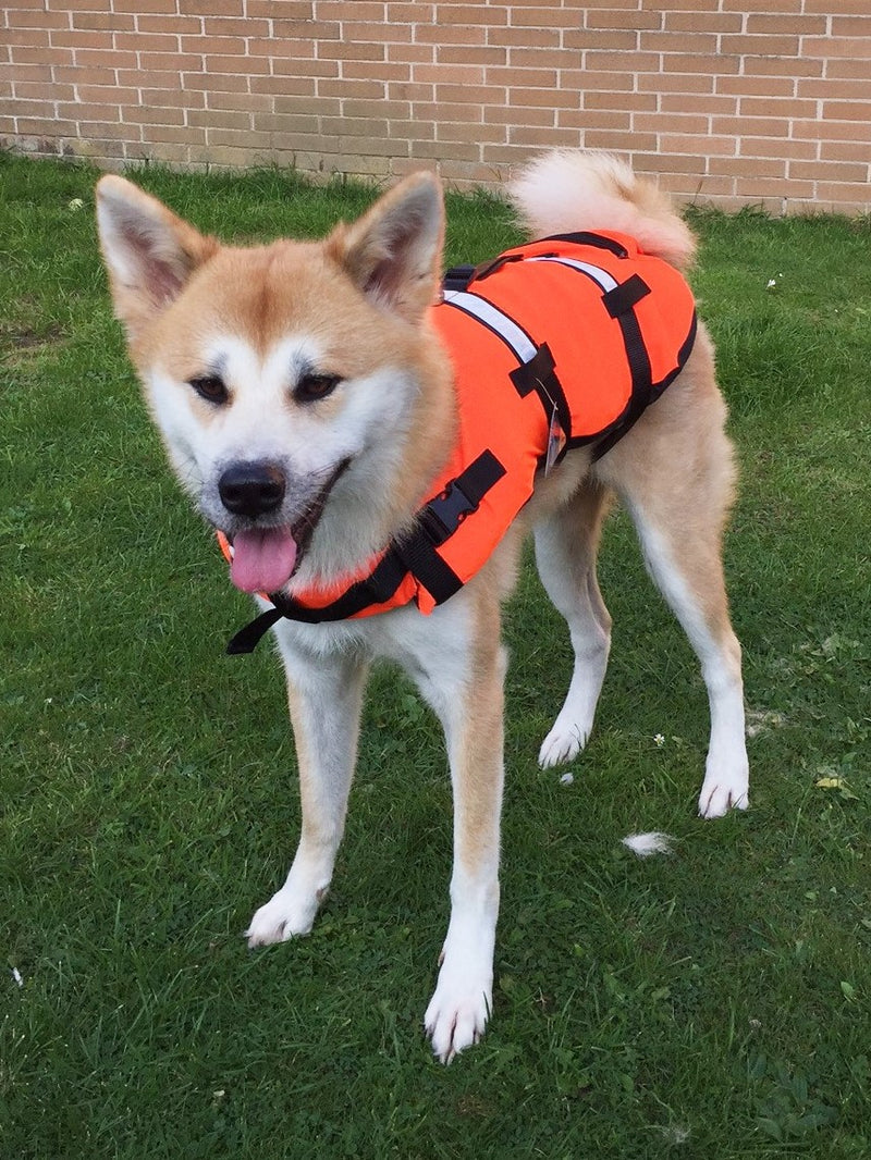 AIDE À LA FLOTTAISON POUR ANIMAUX DOMESTIQUES