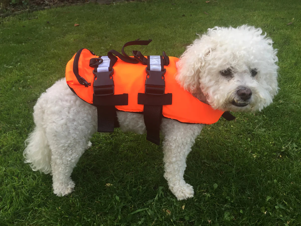 AIDE À LA FLOTTAISON POUR ANIMAUX DOMESTIQUES