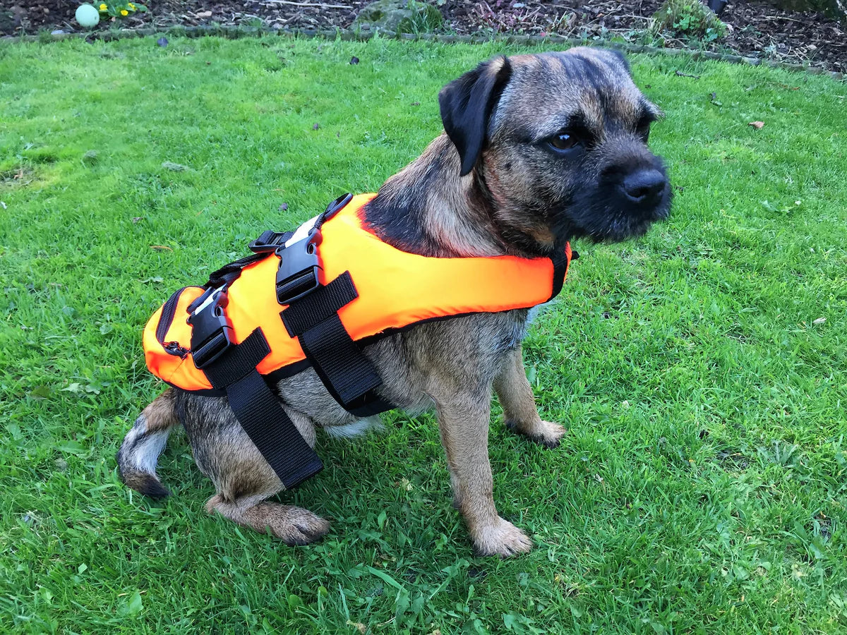 AIDE À LA FLOTTAISON POUR ANIMAUX DOMESTIQUES