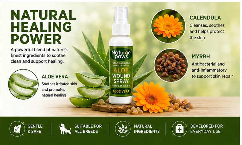 30 Ml Aloe Wound Spray