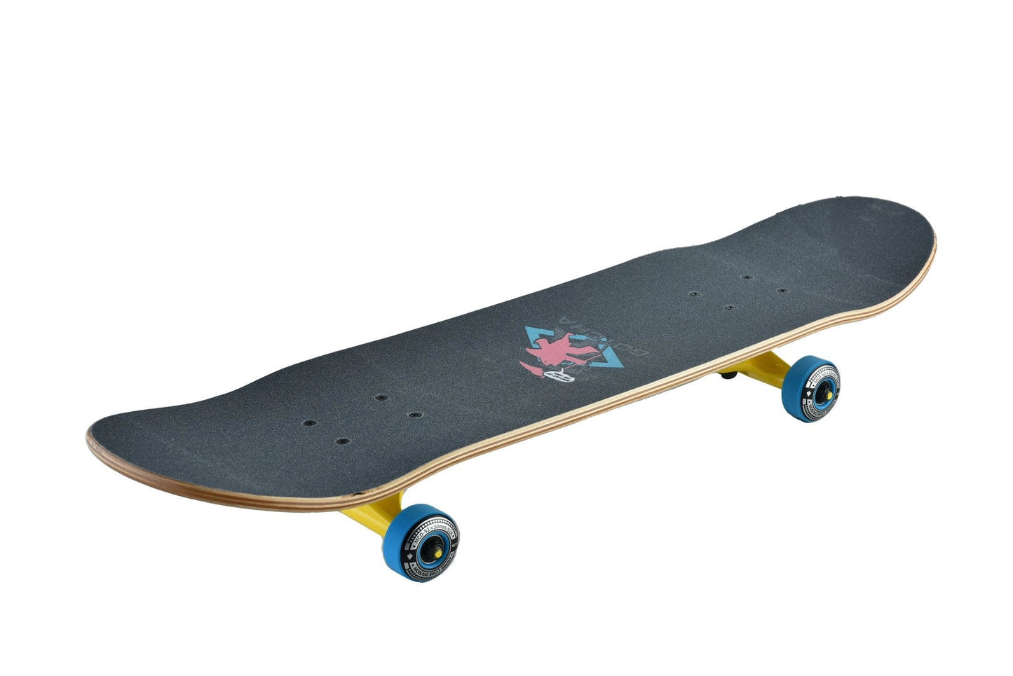 Dismanteled Skateboard