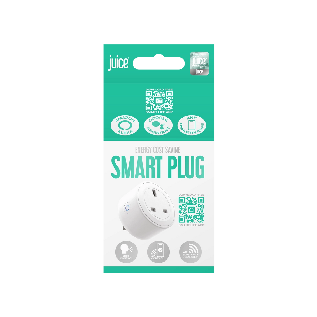 Energy Saving 16A Smart Plug