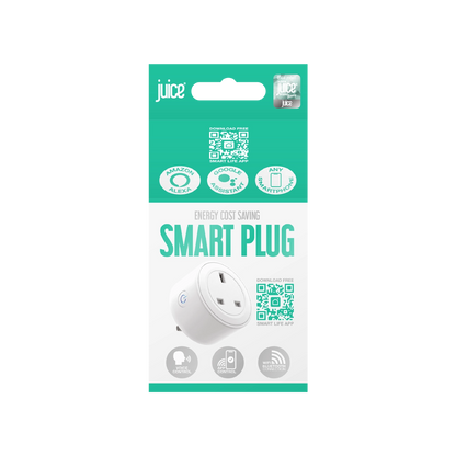 Energy Saving 16A Smart Plug