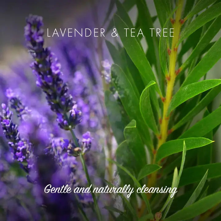 Barre de savon écologique à la lavande