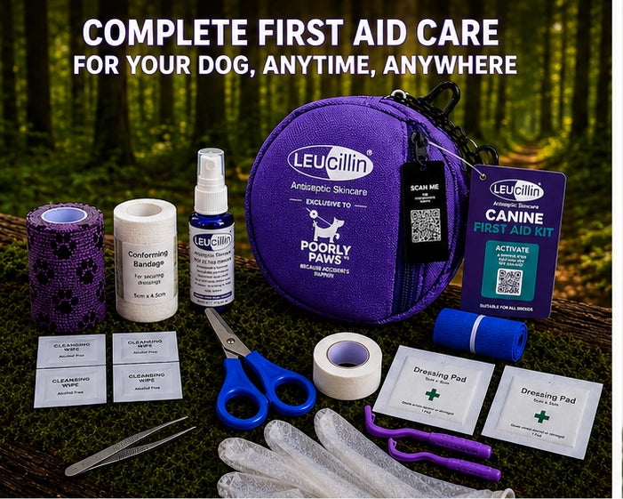 Leucillin & Poorly Paws First Aid Kit