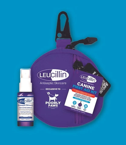 Leucillin & Poorly Paws First Aid Kit