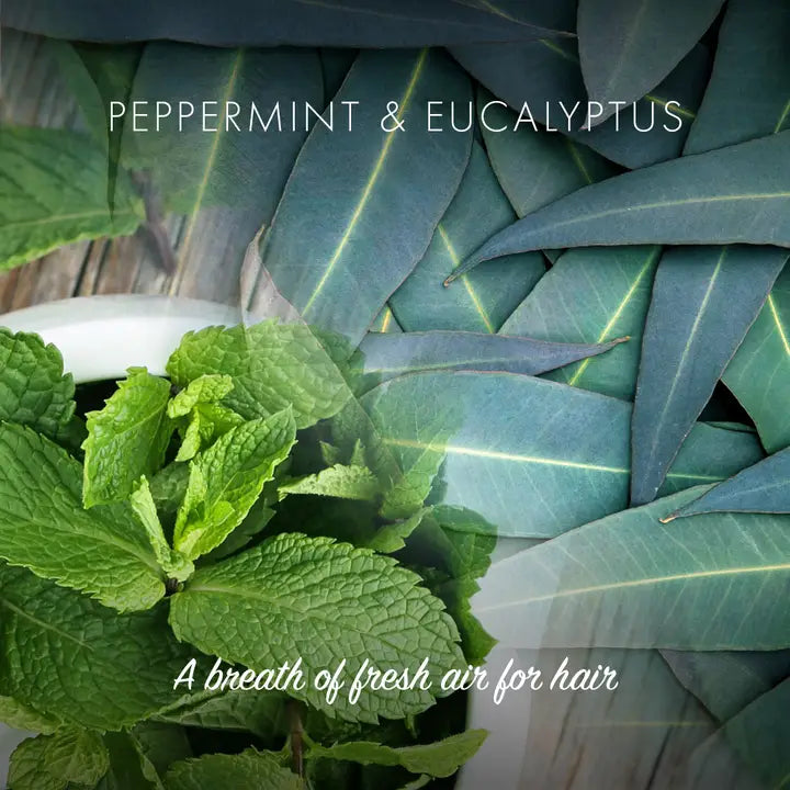 Peppermint & Eucalyptus Conditioner Bar - Eco Friendly